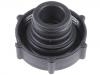 Tapa, radiador Radiator Cap:YF09-15-205