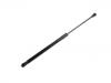 Gasdruckfeder Gas Spring:95985321