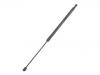 Gasdruckfeder Gas Spring:81771-2C010